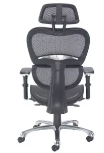 Rainbow Zebra High Back Ergonomic Mesh Office Chair with Arms and Headrest