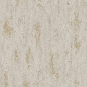 Paul Moneypenny Taupe Concrete Plaster Urban Texture Wallpaper for Grandeco