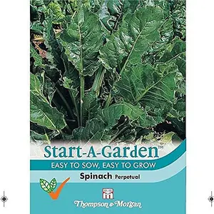 Spinach Perpetual 1 Seed Packet (120 Seeds)