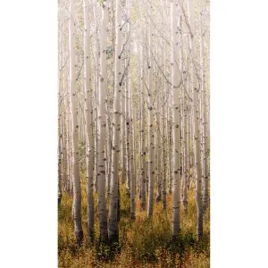 Grandeco Birch 3 lane repeatable Textured Mural, 2.8 x 1.59m