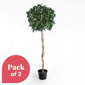 Blooming Artificial - 150cm / 5ft Artificial Bay Laurel Tree (Pair) Topiary