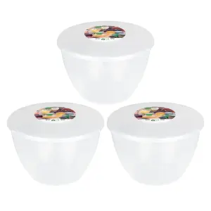 Just Pudding Basins Medium Sized Steaming Pudding Basin with Lid Clear - 1.5pt - 3pk