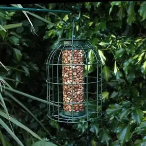 Bird Feeder Hanging Garden Birdcare Nut Deluxe Set Squirrel Proof