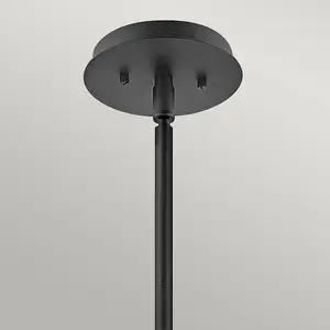 Luminosa Hinkley Lotus Dome Pendant Ceiling Light Black