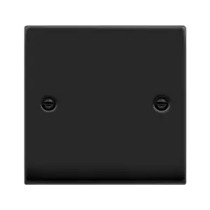 Matt Black 1 Gang Blank Plate - SE Home