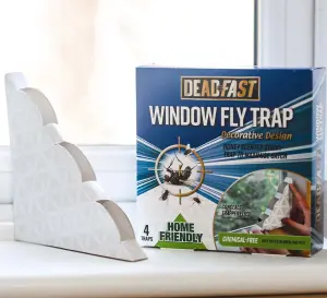 Westland Window Fly Fruit fly trap, Pack of 4