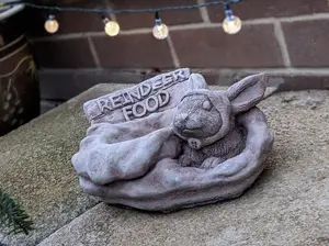 Stone Cast Christmas 'Reindeer Food' Pot/Bowl Garden Ornament