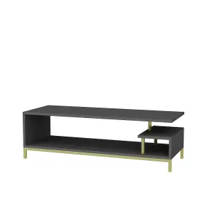 Decorotika Reilly TV Stand TV Unit for TV's up to 55 inch