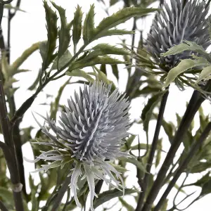 UK Homeliving Eryngium Blue Thistle