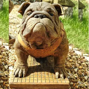 Life Size Sitting British Bulldog Stone Garden Ornament