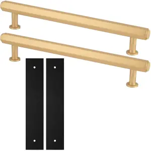 2 PACK - Pull Handle & Contrasting Backplate Set - Industrial Hex T Bar - Satin Brass & Black