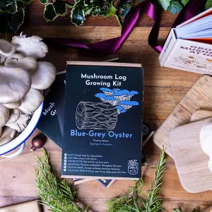 Blue-Grey Oyster Mushroom Log Growing Kit