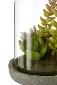 Fiori Small Succulent Dome with Cement Base Artificial Plant Foliage