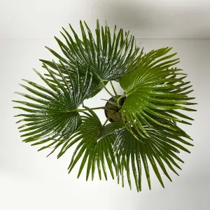 Homescapes Artificial Fan Palm Tree in Pot, 80 cm Tall