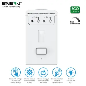 ENERJ Non Dimmable 500W RF Receiver ECO RANGE