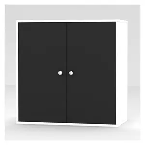 Elyssa 60Cm H x 60Cm W x 30Cm D Wall Cabinet White/Black