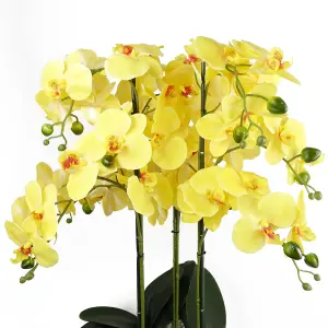 60cm Orchid Yellow - Black Ceramic Planter