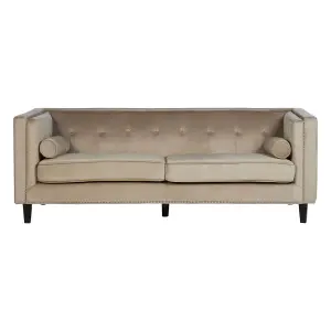 Interiors by Premier Felisa 3 Seat Mink Velvet Sofa