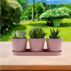 3pc Pastel Pink 0.6L Metal Planter Garden Herbs Plant Pot Embossed Leaf Bowl