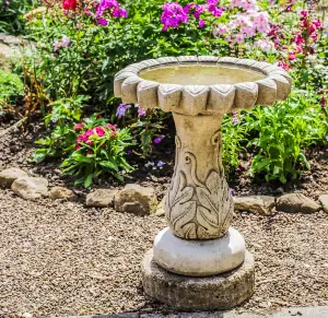 Daisy' Design Birdbath with flower-shaped Basin