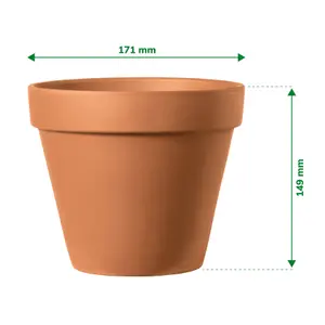 Verve Laleh Terracotta Plant pot (Dia) 17.1cm, (H)14.9cm, 2L