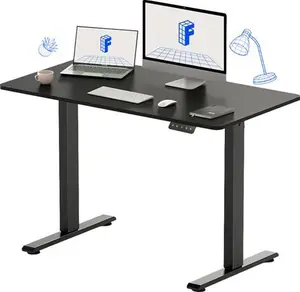 Flexispot Lite Standing Desk Electric Height Adjustable Ergonomic Standing Desk With Conventional Control Pad For Home Office Study Gaming Black