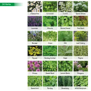 Pronto Seed Bumper Seeds Gift Bag, Flower, Herb & Vegetable Seeds (69 Varieties)