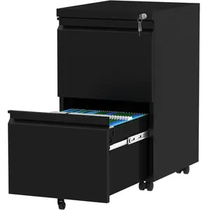 39cm Wide 2 -Drawer Mobile Steel File Cabinet Black